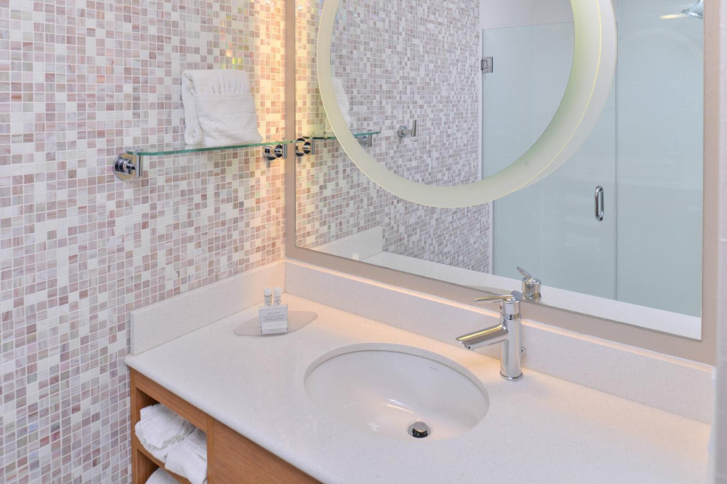 Springhill Suites by Marriott Detroit Metro Airport Romulus