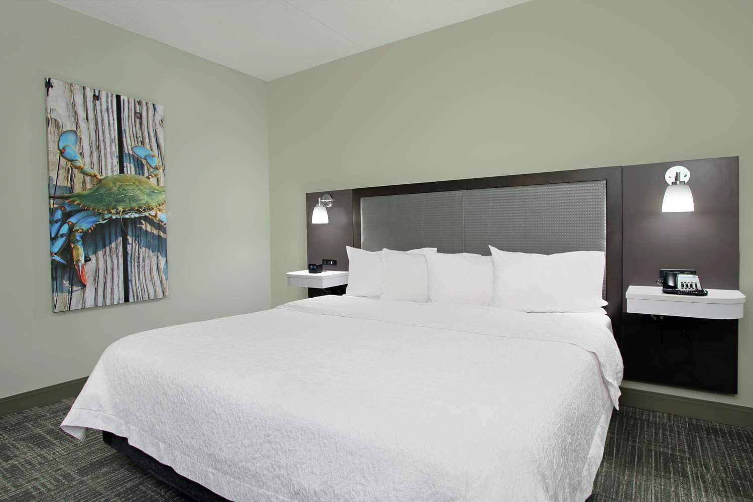 Hampton Inn Hagerstown-I-81