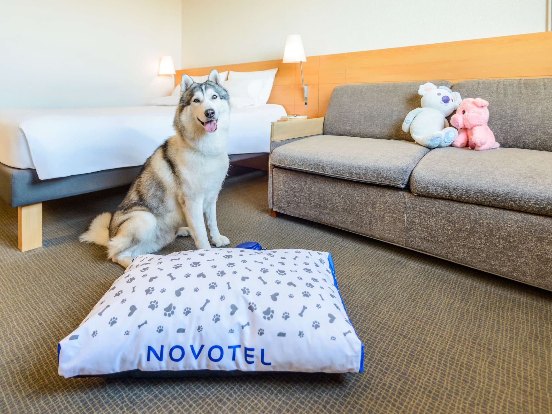 Novotel Torino Corso Giulio Cesare